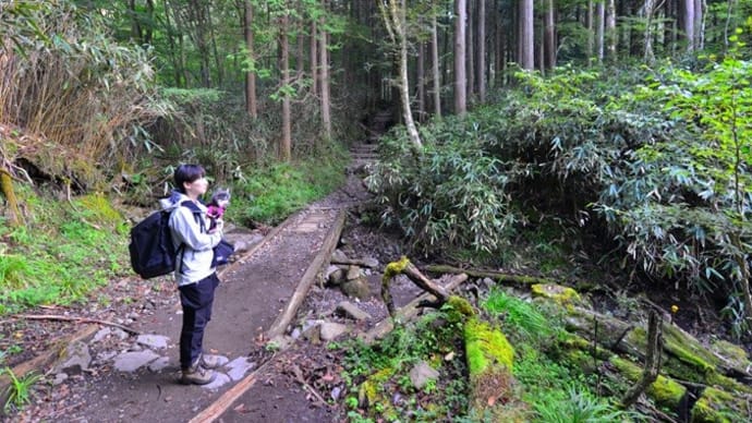 犬と金時山登山に行ってきました♪(その1)