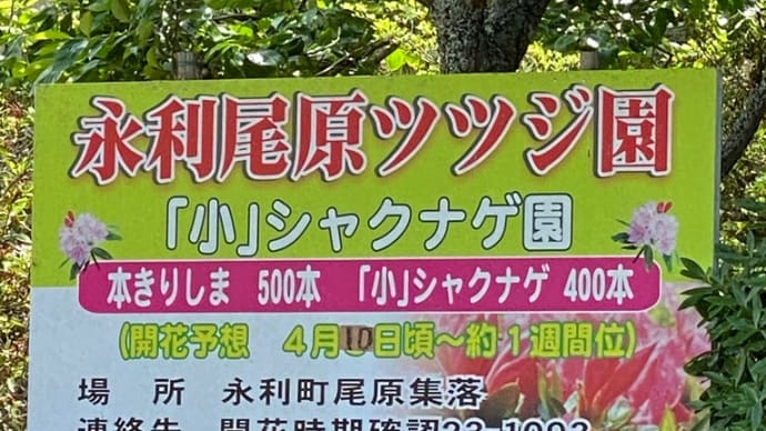 小遠足☆