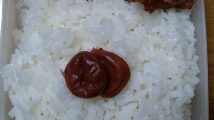 我が家のお弁当(∩´∀`)∩ワーイ 2023/09/27とその前