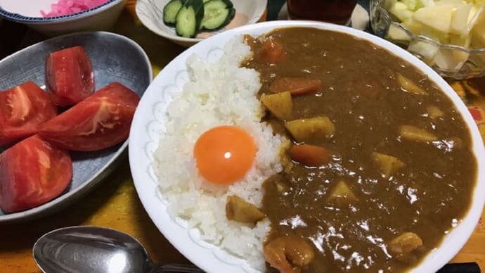 日暮れ前まで畑作業→野球そしてカレー