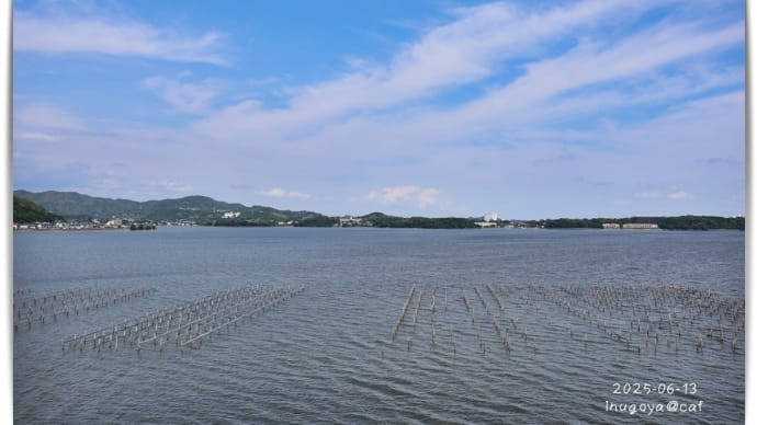 わんこにとって遊びにくい季節がやってきました🥵