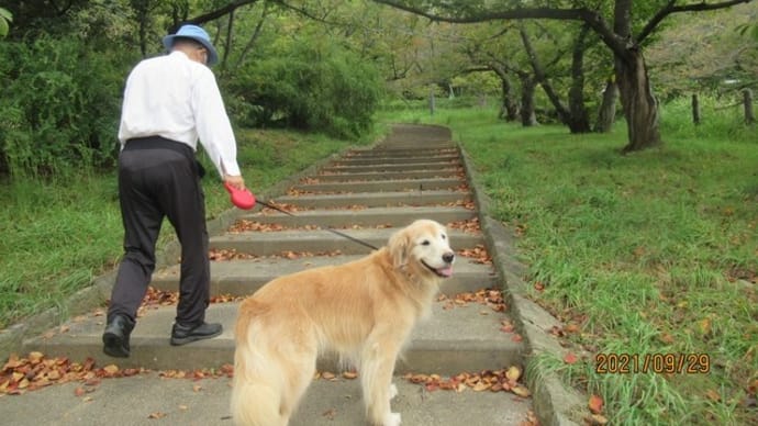お父さん、久しぶりの安部山公園は秋色 210929
