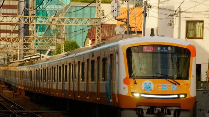 2024年8月15日 小田急 小田原線 南新宿 5455F もころん号