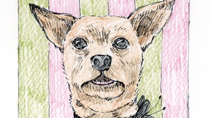 2013年09月23日習作模写等アナログ犬イラスト。