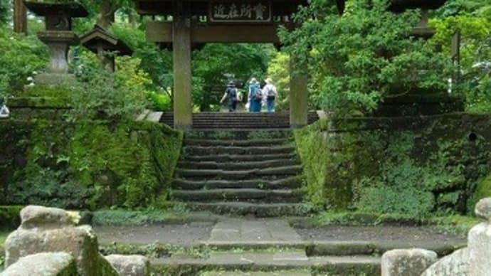 梅雨の晴れ間 北鎌倉「浄智寺」、（２０２３初夏）。