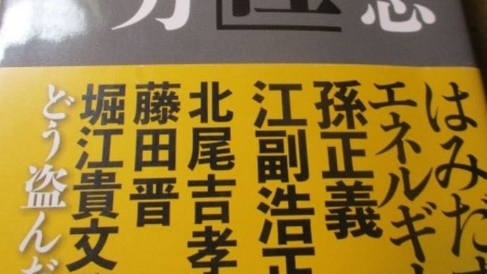 IT三国志「超知性」突破する力・・・作家 大下英治さんがまとめた日本のベンチャー起業家の伝記集
