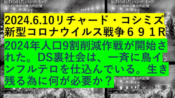 2024.6.10リチャード・コシミズ新型コロナウイルス戦争691R 動画を公開します。