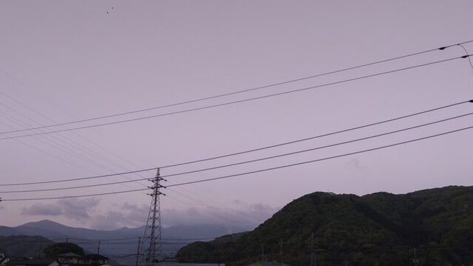 薔薇の蕾の空