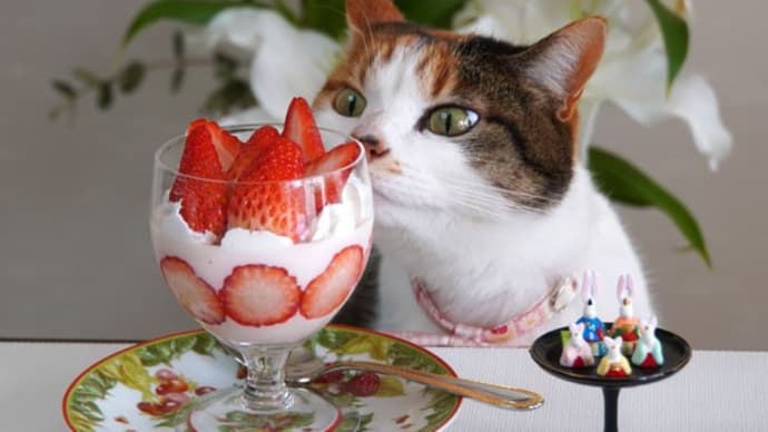 猫雛&ひにゃあられ