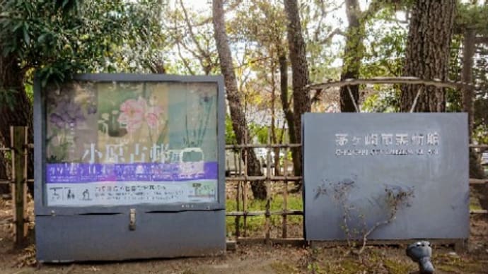 茅ヶ崎へ
