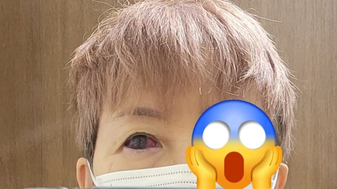 子供が見たら泣くやんか(;>_<;)