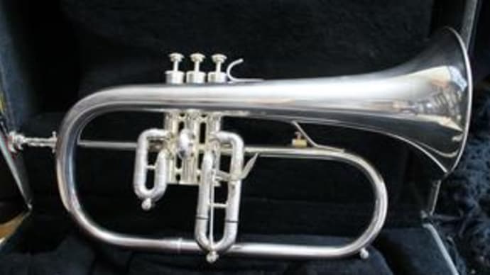 愛用:フリューゲルホルン ( Fluegelhorn )