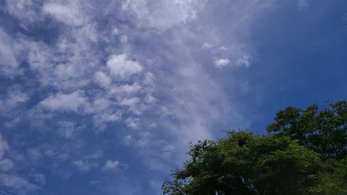 今日も見上げたsora