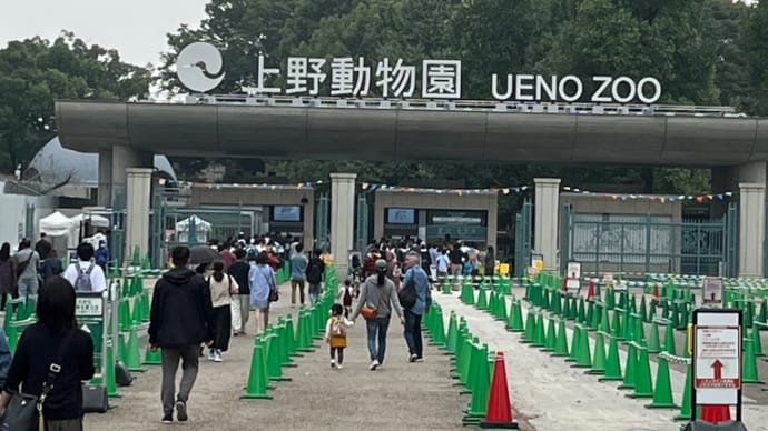 上野動物園🐼