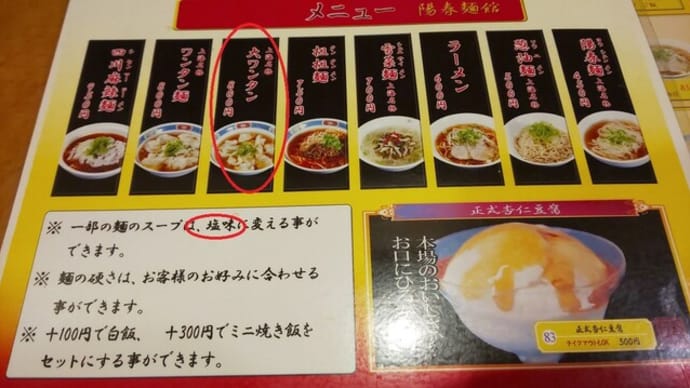952 天満紫微星 大ワンタン800円を塩味に