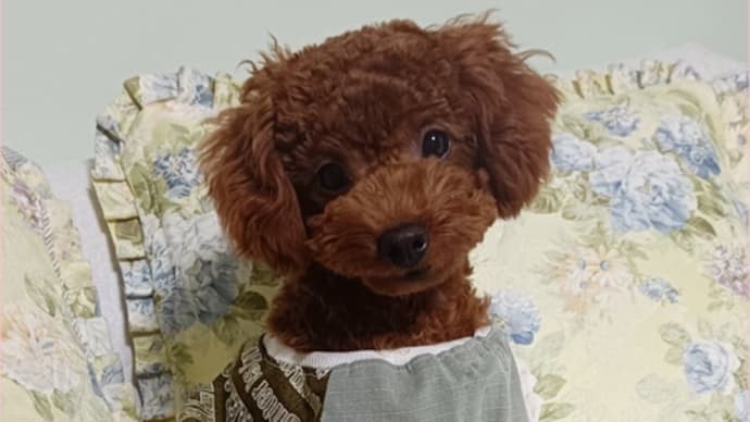 失敗は成功の基?( ̄▽ ̄;)
