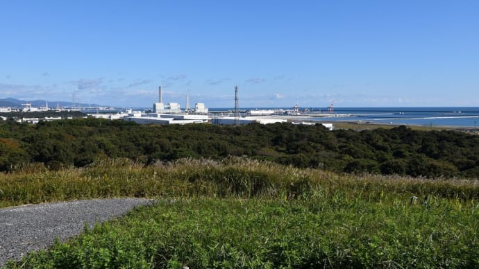 コキア狩り 茨城県ひたちなか市 国営ひたち海浜公園(5)みはらしの丘より茨城港常陸那珂港区(ひたちなかこうく)