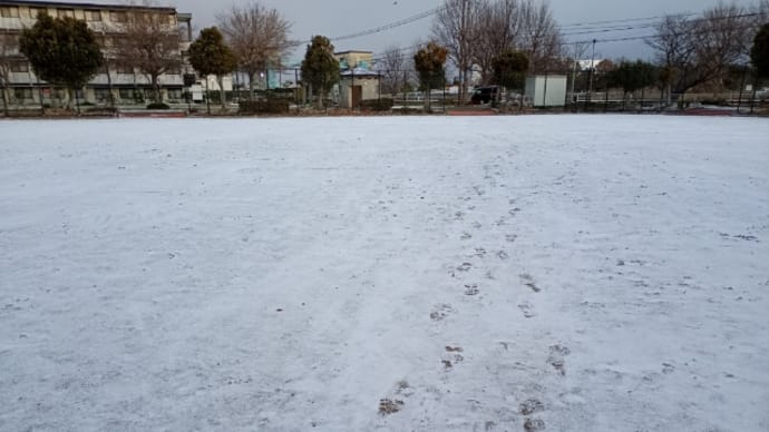 少しの雪 2月5日