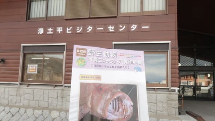 自然界に