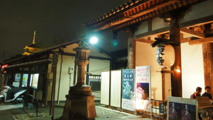 東寺夜桜ライトアップ（京都市南区）