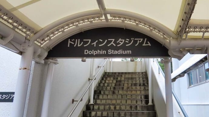 マリンピア日本海 イルカショウ イルカに乗った猫