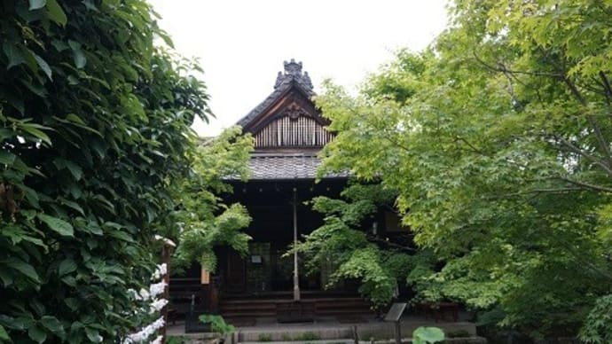 目的は大阪、ついでに京都 10