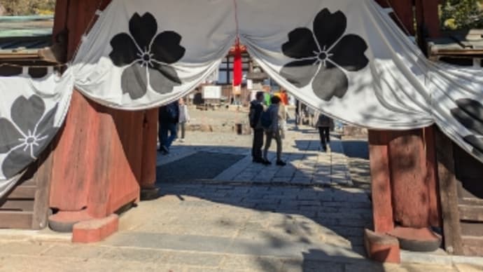 調布の深大寺に神代植物公園へ行きました