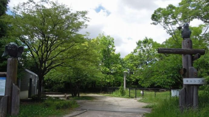 大阪・花博記念公園 鶴見緑地 ②「アーモンドの森→国際庭園」