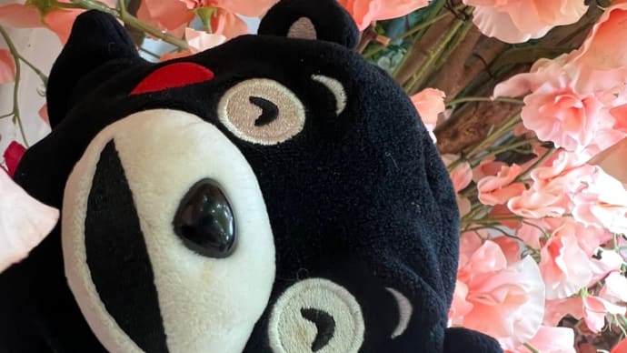 ❤️続ワークマンプロパトロール❤️