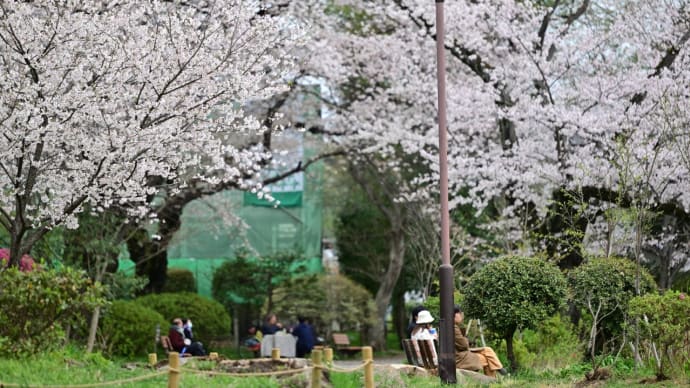 善福寺公園で