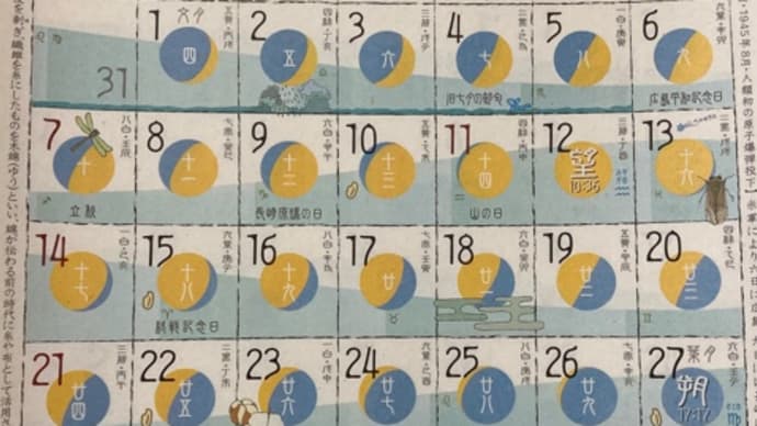 ◉8月の出没予定 2022◉