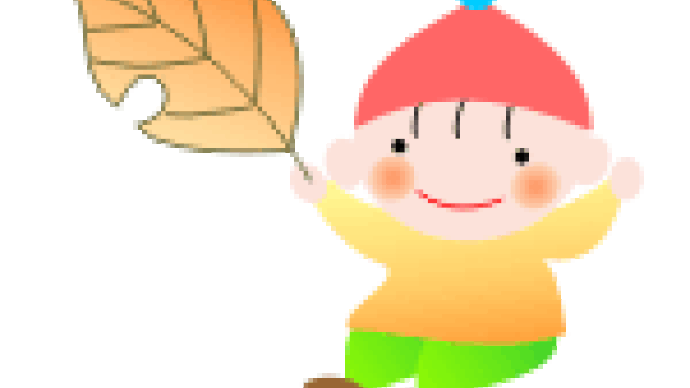 コスモス畑