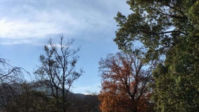 ⛅️2020/12/10
