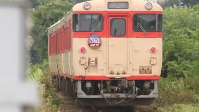 岡山の列車(リバイバル急行砂丘)