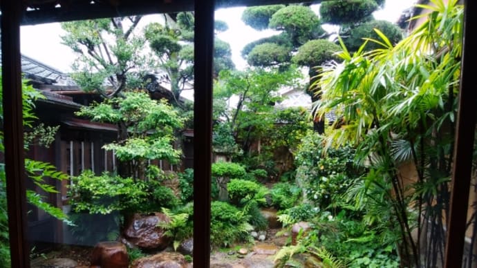 恵みの雨