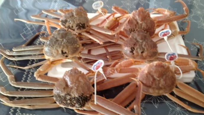 冬の味覚 庄内浜のカニ
