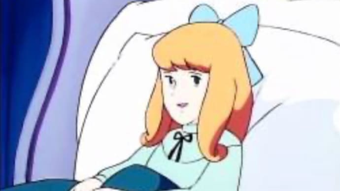 限られた中で