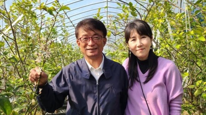 レモンの蕾と世界を変える女性100人と時の流れ