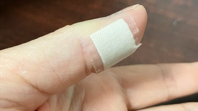 健診結果を聞く