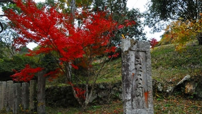 三谷公園 紅葉