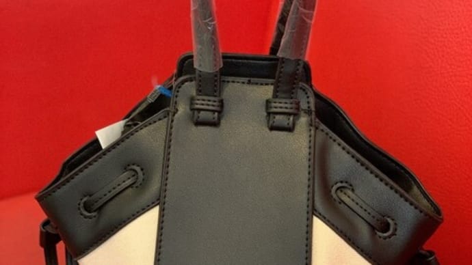 チョイ持ちBAG