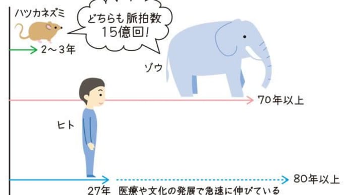 『ゾウの時間 ネズミの時間』24(社会の本質を知る)
