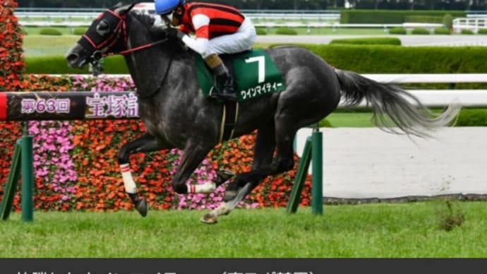 6/19日レース予想と結果