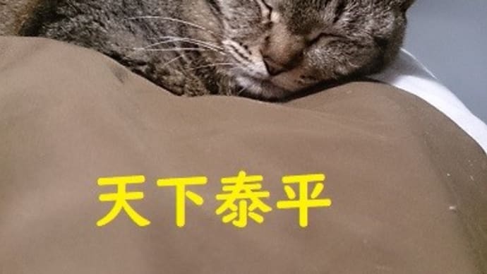 オリンピックの楽しみは・・。