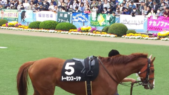 🐴きょうのおうまさん(22/5/10) 神田川OP
