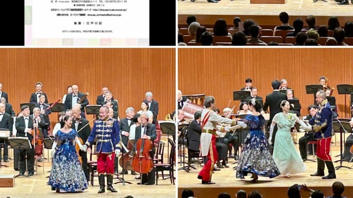日本ヨハン・シュトラウス協会管弦楽団 第46回演奏会 