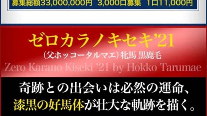 今日は、広尾サラブレッドクラブの15周年募集‼️