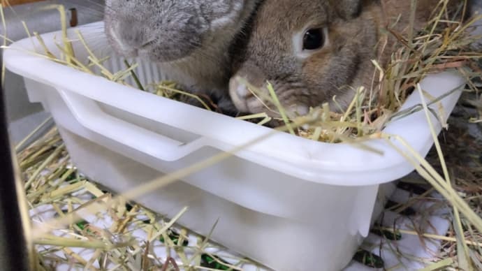たいせつなことは、