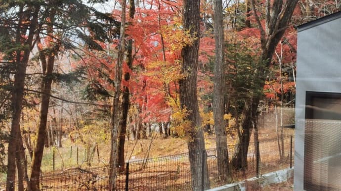 『セカンドハウスの庭からの風景が秋に···』