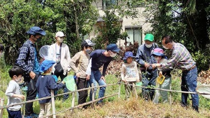 加須市大越昆虫館「春の自然観察会」